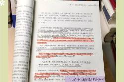 新科秀才表现出众，跻身联盟重要位置