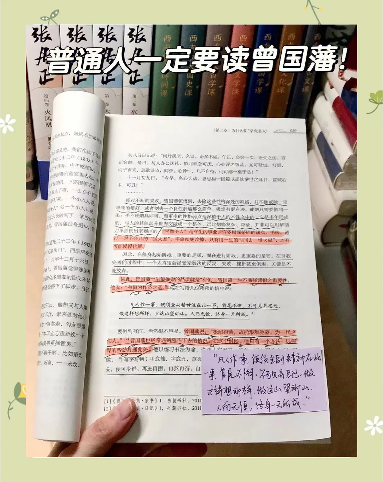 新科秀才表现出众，跻身联盟重要位置
